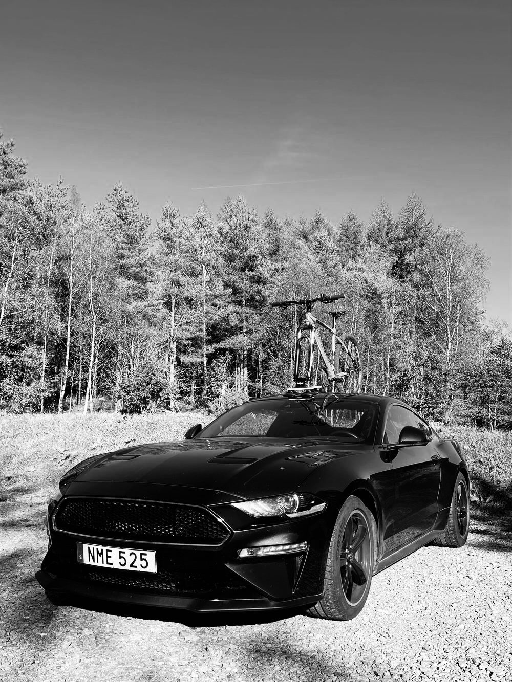Ford Mustang Bullitt on a forest road with a bike on the SeaSucker rack